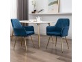furniture-velvet-dining-chair-small-1