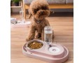 cat-dog-food-dish-bowl-with-automatic-water-dispenser-small-1