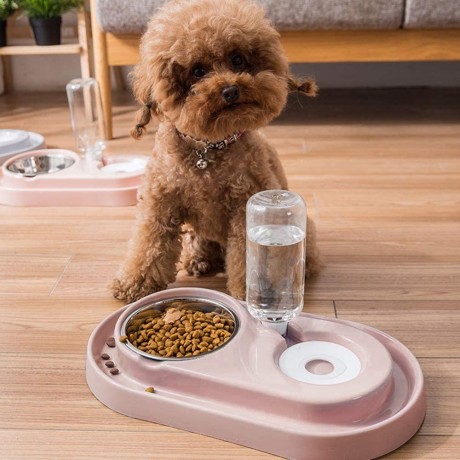 cat-dog-food-dish-bowl-with-automatic-water-dispenser-big-1