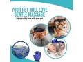 mumoo-bear-pet-grooming-glove-small-2
