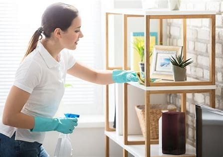 professional-house-cleaning-services-big-1