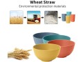 wheat-straw-dinnerware-sets-small-2