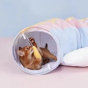 amoy-cat-tunnel-tube-and-bed-for-indoor-cats-big-1