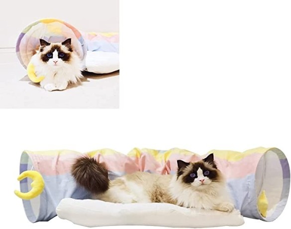 amoy-cat-tunnel-tube-and-bed-for-indoor-cats-big-0
