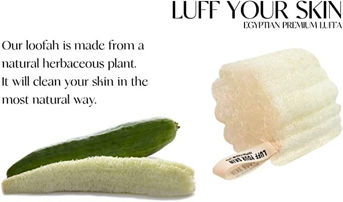 egyptian-luffa-sponges-natural-loofah-bath-sponges-big-2