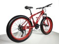 mountain-bike-big-heavy-duty-small-1