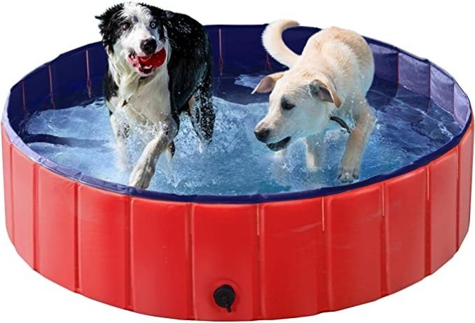 dog-pet-bath-pool-foldable-hard-plastic-doggie-duck-swimming-pool-big-0