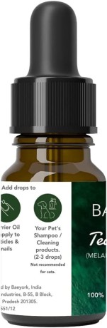 tea-tree-oil-big-2