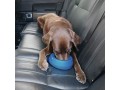 kurgo-no-spill-dog-travel-bowl-small-0
