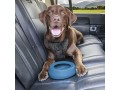 kurgo-no-spill-dog-travel-bowl-small-2