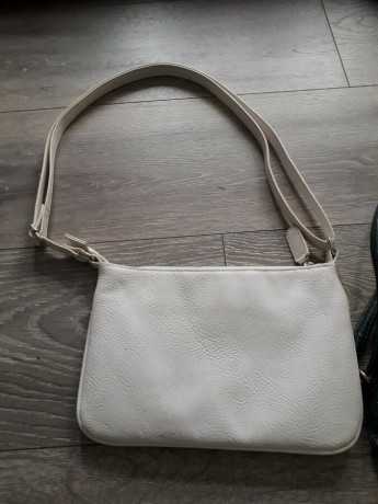 ladies-handbags-used-big-0