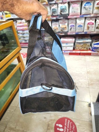 pet-carriers-for-air-travel-cabin-big-1