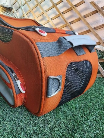 pet-carriers-for-air-travel-big-0