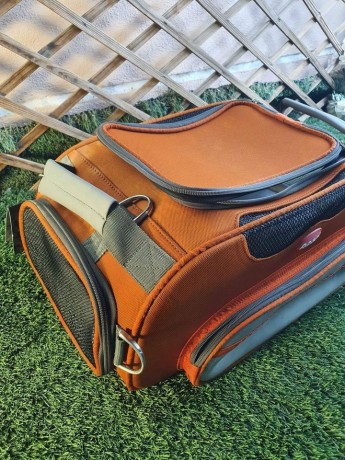 pet-carriers-for-air-travel-big-3