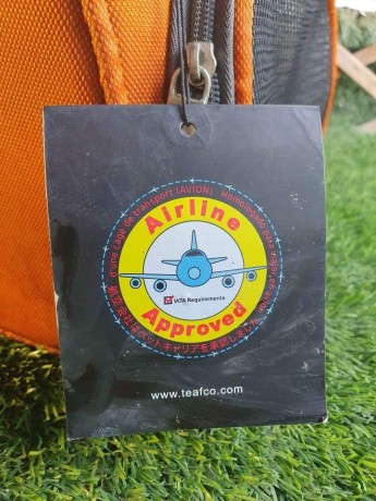 pet-carriers-for-air-travel-big-4