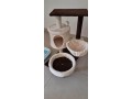 pet-supplies-small-1