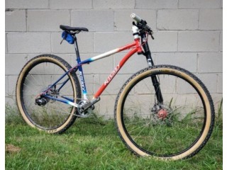 Limited Team Edition Ritchey Lefty fork Mountain Bike