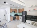 1-bedroom-1-bath-apartment-small-3