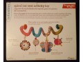 car-seat-activity-toymobile-infantino-go-gaga-spiral-butterfly-baby-small-1