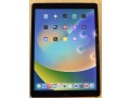 apple-ipad-pro-1st-gen-128gb-wi-fi-4g-unlocked-129-in-with-pencil-small-0