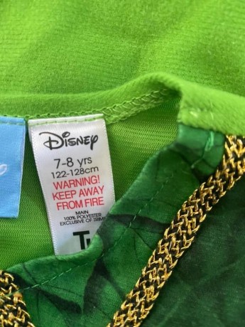 disney-costumes-big-0