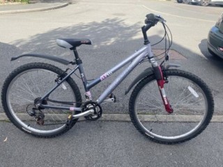 Mountain bike used