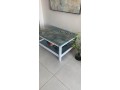 used-ikea-coffee-table-with-butterfly-pattern-small-4