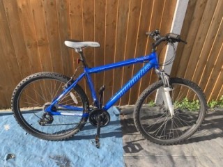 Mountain Bike 26inch