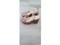 shoes-lady-size-37-kids-size-21-small-0