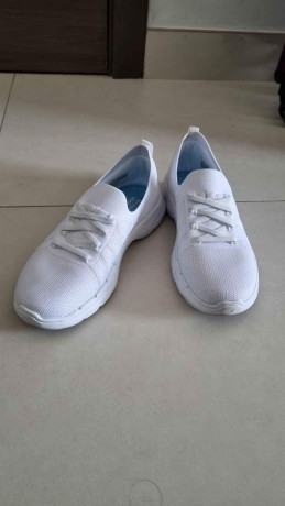 brand-new-sketches-go-walk-big-1