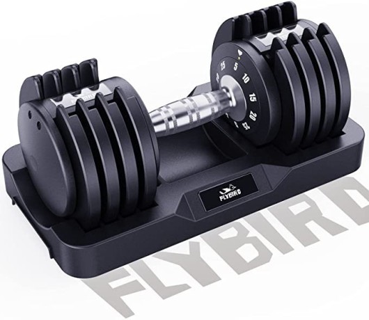 flybird-adjustable-dumbbell2555lb-single-dumbbell-for-men-and-women-big-0