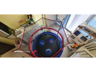 Skywalker MiniTrampoline 60inch with Enclosure Net