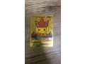 pokemon-ultra-rare-pikachu-mega-charizard-yhp-634-only-for-75-small-0