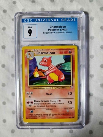 charnendar-pokemon-2002-big-3