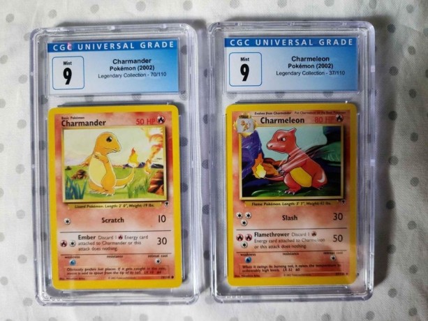 charnendar-pokemon-2002-big-2