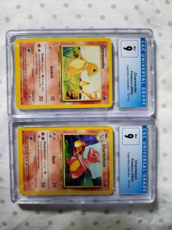 charnendar-pokemon-2002-big-1