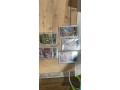 graded-pokemon-cards-psagmabeckett-small-0
