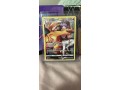 pokemon-charizards-small-2