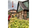 sprachentwicklungsstorung-wolfsburg-small-0