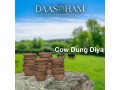 desi-cow-dung-cake-small-0