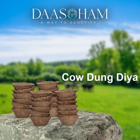 desi-cow-dung-cake-big-0