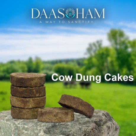 dung-cake-in-andhra-pradesh-big-0