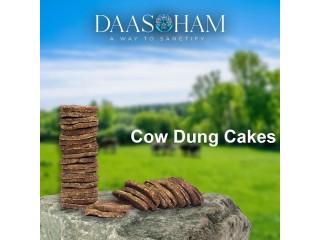 Cow Dung Cakes In Uttar Pradesh