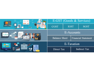 Best GST Training Course in Delhi, Mamura, Free Accounting & Tally Certification, Best Offer with 100% Job