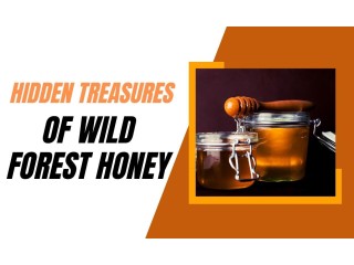 Trusted & Verified Organic Wild Forest Honey Manufacturers