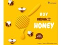 aravali-honey-your-trusted-organic-manufacturing-partner-small-0