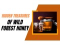 premier-wild-forest-honey-manufacturers-natures-finest-elixir-crafted-with-excellence-small-0