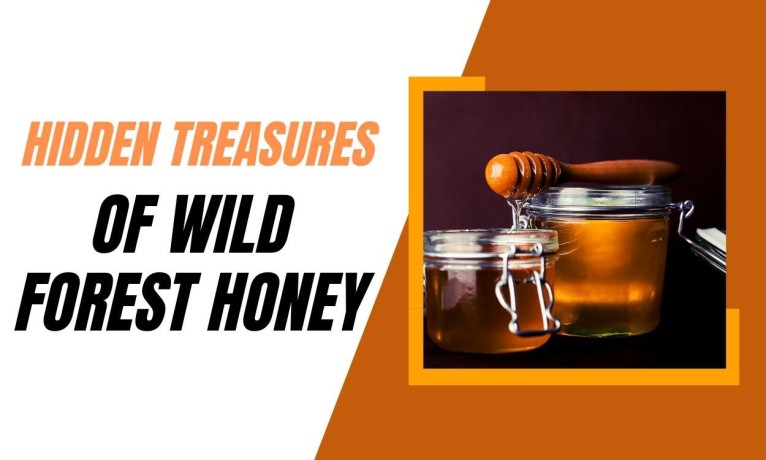 premier-wild-forest-honey-manufacturers-natures-finest-elixir-crafted-with-excellence-big-0