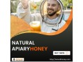 apiary-honey-manufacturers-by-aravali-honey-industries-crafting-natures-sweetness-with-purity-small-0