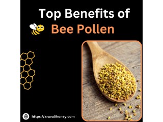 Harness Nature's Power with Organic Bee Pollen Bulk - Aravali Honey Industries